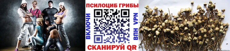 купить наркотик  Маркс  Галлюциногенные грибы прущие грибы 